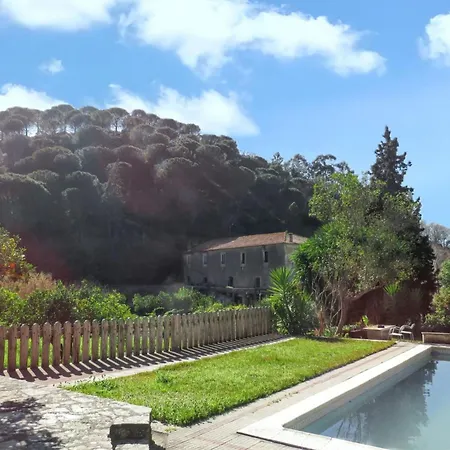 Bicentennial House In With Mountain View And Pool Holiday home Porto de Mos (Leiria)