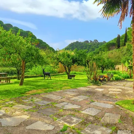 Bicentennial House In With Mountain View And Pool Porto de Mos (Leiria)